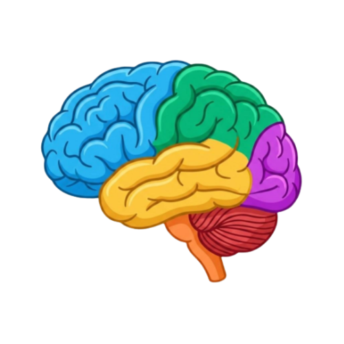 Brain Health Status Meter